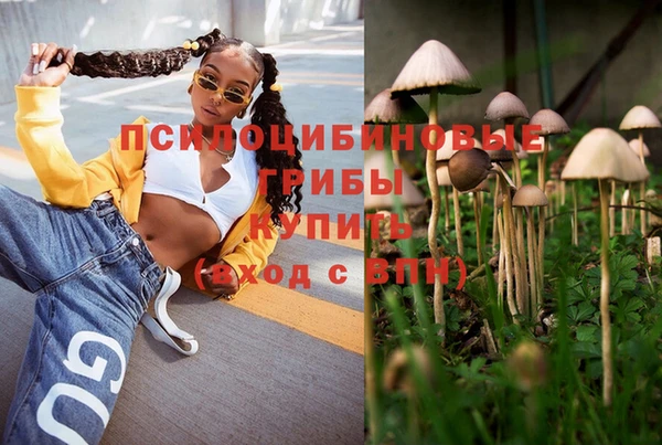 твердый Володарск